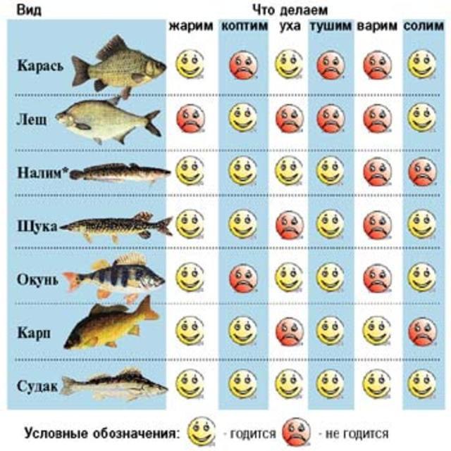 Какая рыба самая полезная?