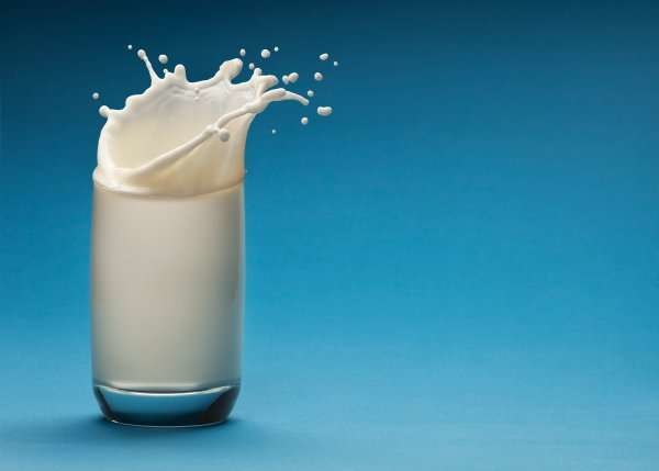 Действительно ли козье молоко полезнее коровьего?