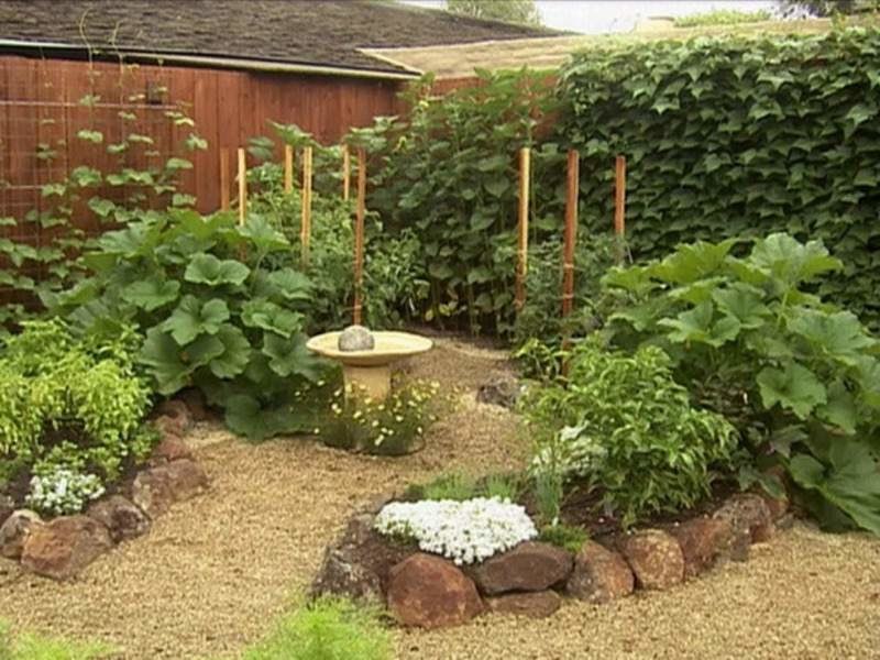 Как создать сад для "ленивых"?