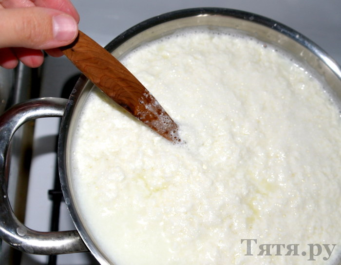 Домашний адыгейский сыр: простой рецепт с фото