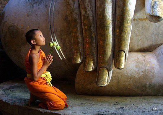 10 уроков жизни от Будды