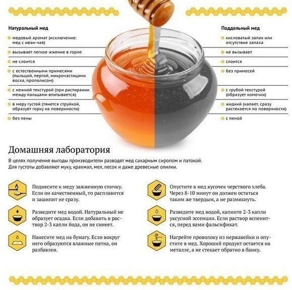 Как отличить натуральный мёд от поддельного