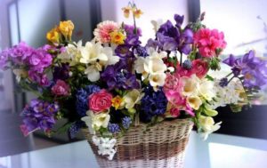 Как лучше выбрать цветы на 8 марта