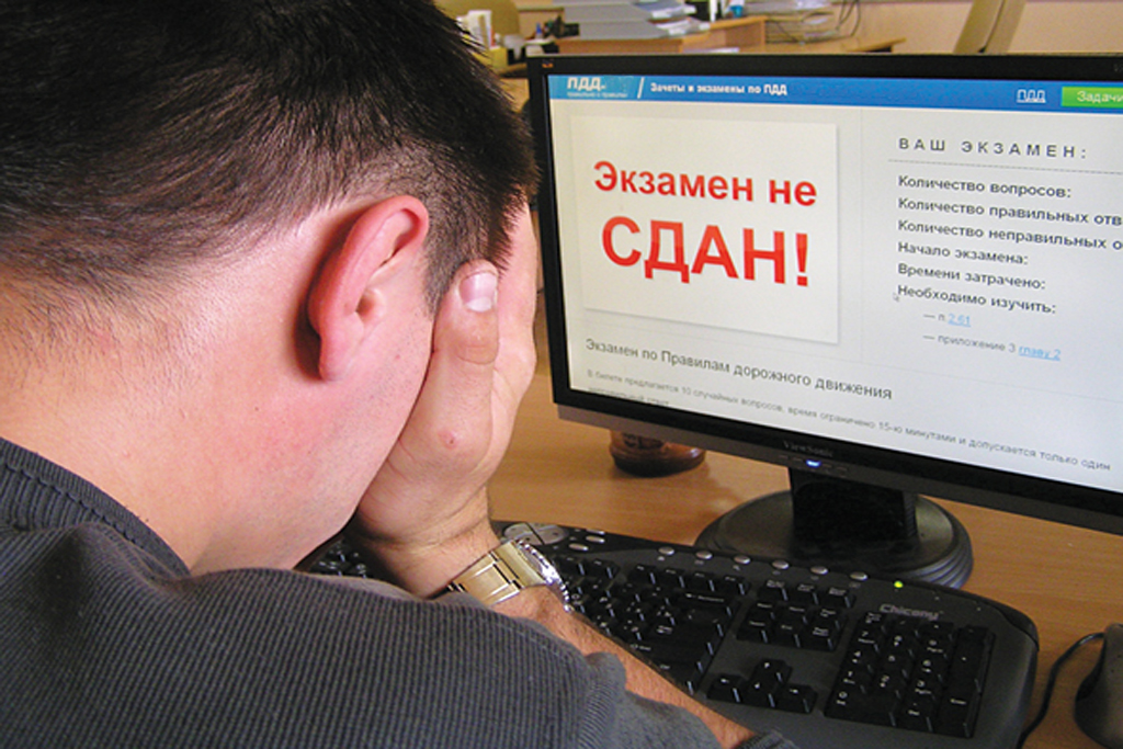 Сдал не сдал картинки